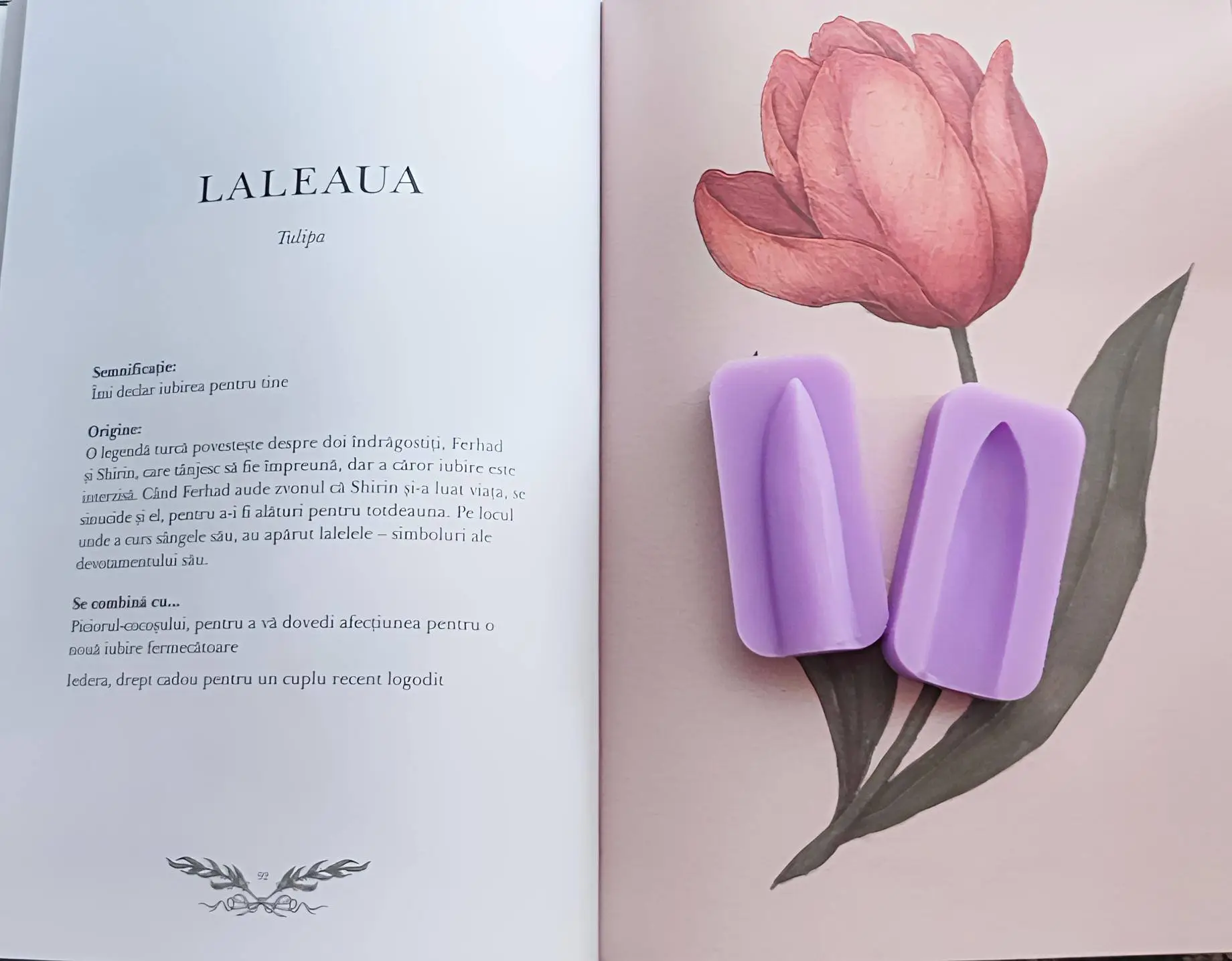Veiner Lalea – Matrite Frunze si Pistil 2 Veiner Lalea – Matrite Frunze