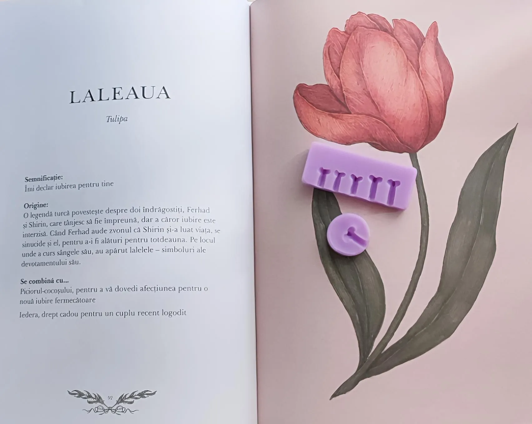 Veiner Lalea – Matrite Frunze si Pistil 3 Veiner Lalea – Matrite Frunze si Pistil